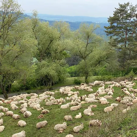 Landhaus-villa Auf Dem Berg *