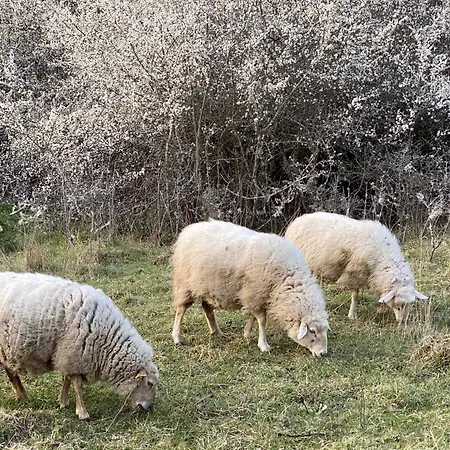 Landhaus-villa Auf Dem Berg Σπίτι διακοπών