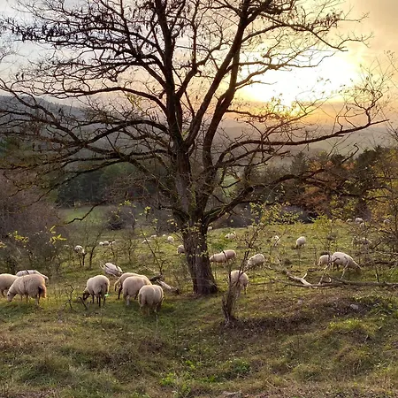 Landhaus-villa Auf Dem Berg Σπίτι διακοπών