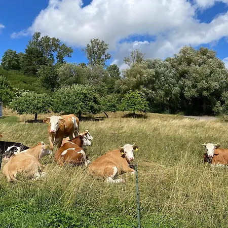 Σπίτι διακοπών Landhaus-villa Auf Dem Berg