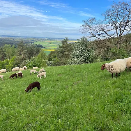 Σπίτι διακοπών Landhaus-villa Auf Dem Berg Dietingen