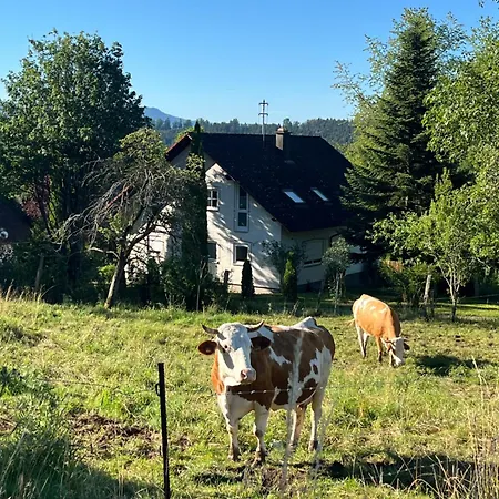 Landhaus-villa Auf Dem Berg Semesterbostad Dietingen
