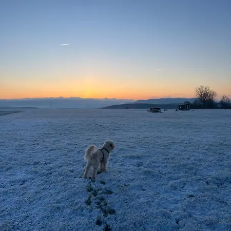 Landhaus-villa Auf Dem Berg Dietingen