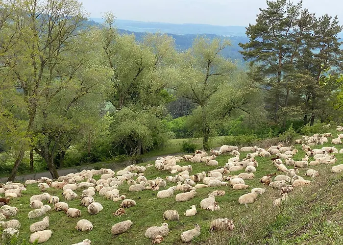 Landhaus-villa Auf Dem Berg *