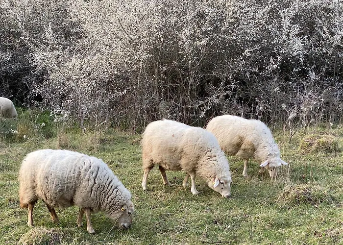 Landhaus-villa Auf Dem Berg Hébergement de vacances