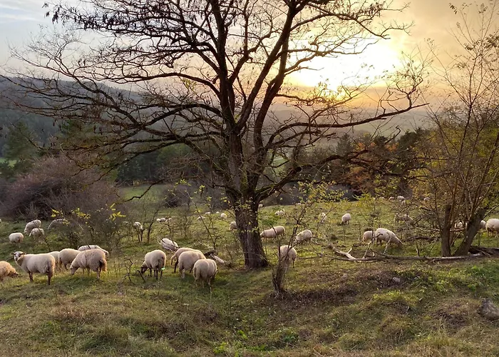 Landhaus-villa Auf Dem Berg Hébergement de vacances