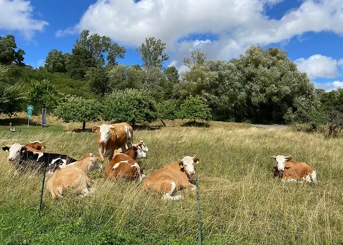 Hébergement de vacances Landhaus-villa Auf Dem Berg