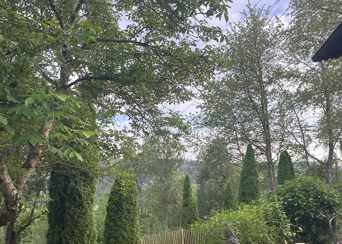 Landhaus-villa Auf Dem Berg * Dietingen