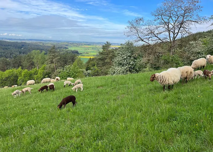 Hébergement de vacances Landhaus-villa Auf Dem Berg Dietingen