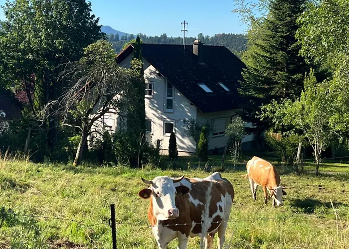 Landhaus-villa Auf Dem Berg Hébergement de vacances Dietingen